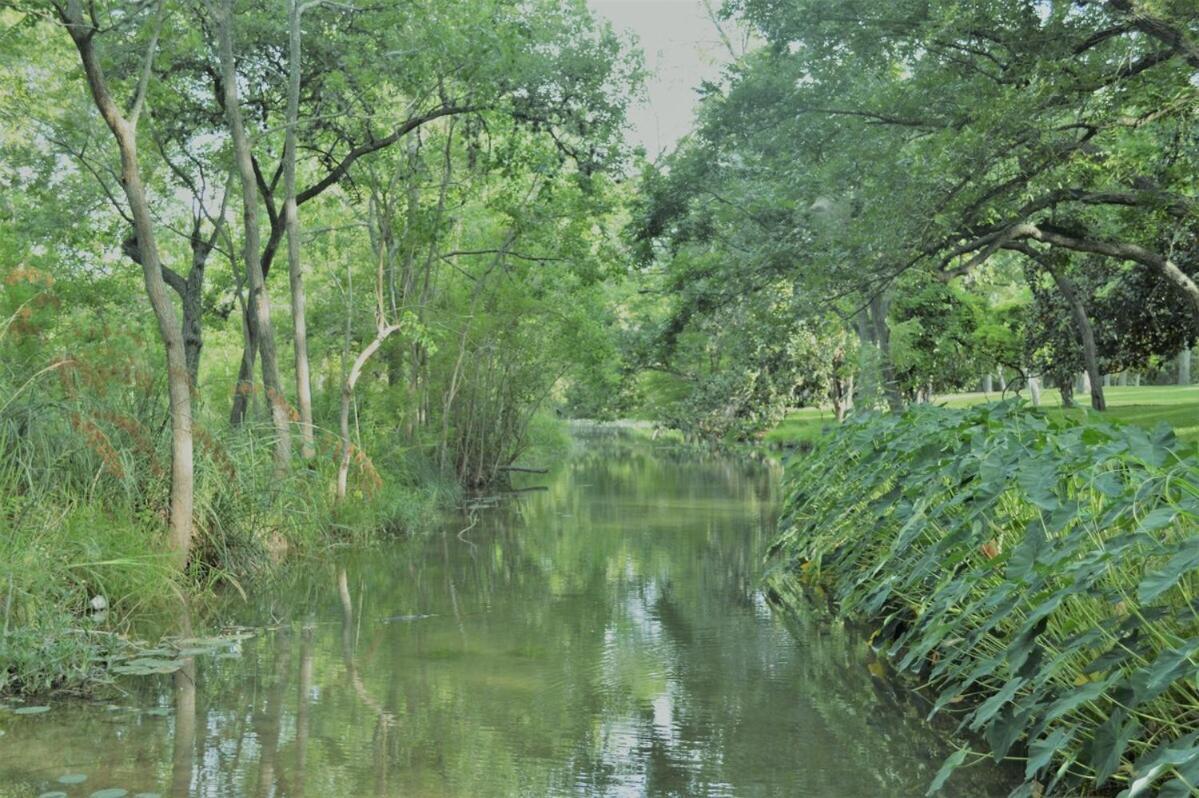 Messina Inn Wimberley Phòng bức ảnh